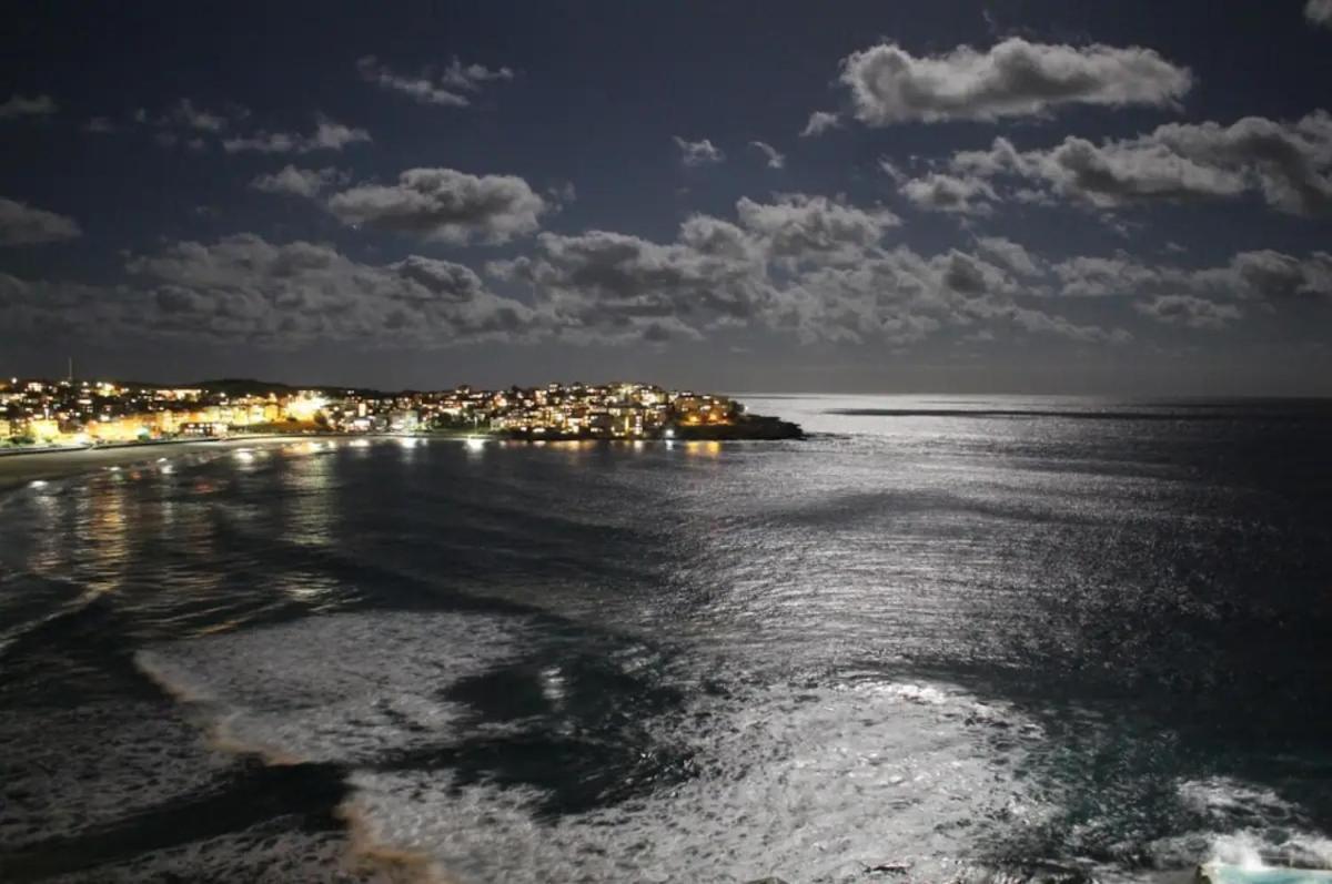 Studio Bondi Beach Sidney Exterior foto
